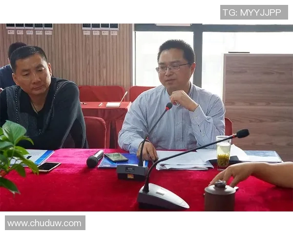 成都排球队的耐力训练与比赛表现深度探讨