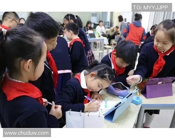 武汉飞盘队的个人能力提升与团队协作的深度探讨