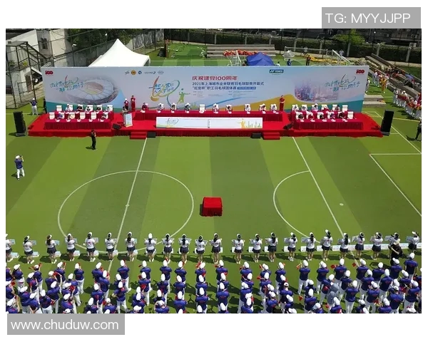 上海羽毛球队转型纪实：从传统到现代的奋斗与蜕变之路