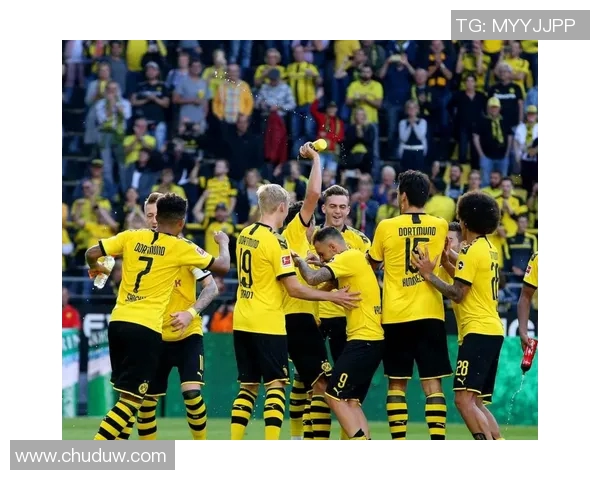 目前德甲哪些球队实力强悍