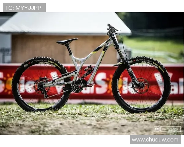 解放者杯激战巴竞枝对决强敌展现足球魅力与激情的巅峰对决