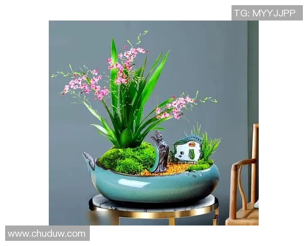 盆栽植物养护技巧全攻略，让你的家居环境更添绿意与生机